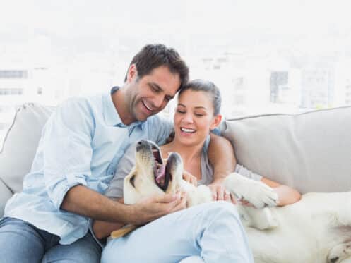 A young couple playing with their dog in their home
